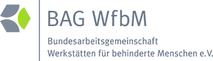 BAG WfbM · Fragen und Antworten zu Bildungsrahmenplänen